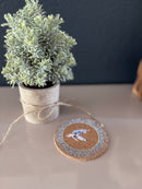 Coaster - Sea Turtle